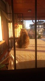 IMG_20240118_170918.jpg