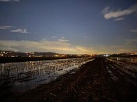 WhatsApp Image 2024-01-20 at 16.02.43 (1).jpeg