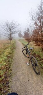 20210109_120854.jpg