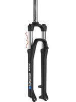 IMG_20240201_170642.jpg IMG_20240201_170642.jpg