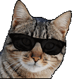 563122258931875843.gif