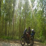 1kopya.JPG 1kopya.JPG