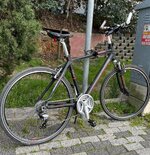 IMG_2209.jpeg