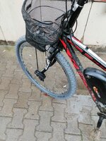 IMG_20240318_164417.jpg