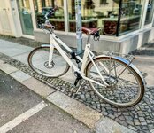 IMG_3815.jpeg