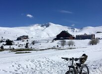 IMG_1876.jpeg