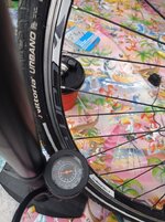 IMG_20240329_171339.jpg IMG_20240329_171339.jpg