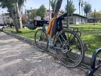 IMG_3177.jpeg