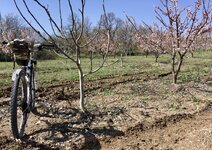 IMG_1904.jpeg
