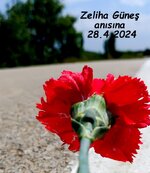 IMG_20240512_113153.jpg IMG_20240512_113153.jpg