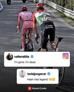 40C58998-61B2-4B13-A020-186E31851A0E.jpeg 40C58998-61B2-4B13-A020-186E31851A0E.jpeg