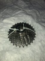 IMG_4333.jpeg
