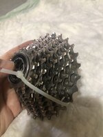 IMG_4335.jpeg