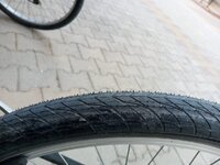 WhatsApp Image 2024-06-04 at 21.33.06(2).jpeg