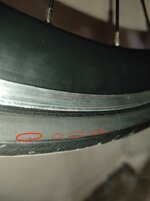 IMG_20240629_011020.jpg