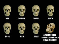 449400132_490105263525524_554009879112223363_n.jpg