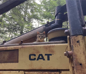 1721058033399.png 1721058033399.png