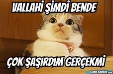 Caps_4d397352c243b1720c5fedcdfc199df8-1.jpg Caps_4d397352c243b1720c5fedcdfc199df8-1.jpg