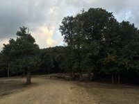 IMG_6173.JPG
