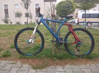 IMG_20150823_113145.jpg