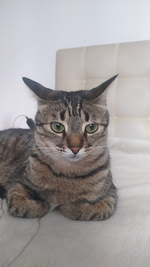 1722802945622.png 1722802945622.png