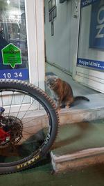 1722839578744.png 1722839578744.png