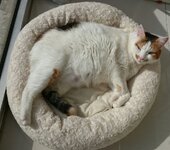 IMG-e04c5924d8f2a1b36f350bb32d0e9d5f-V.jpg IMG-e04c5924d8f2a1b36f350bb32d0e9d5f-V.jpg