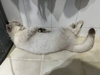 IMG_7800.jpeg IMG_7800.jpeg