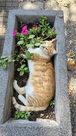 20240807_161218.jpg 20240807_161218.jpg