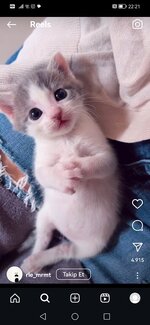 Screenshot_20240808_222112_com.instagram.android.jpg Screenshot_20240808_222112_com.instagram.android.jpg