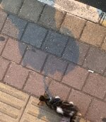 IMG_7750.jpeg IMG_7750.jpeg