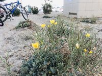 4EEB073B-F3B9-4D94-AD39-BC3A1AC46052.jpeg