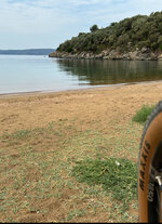 IMG_5161.jpeg
