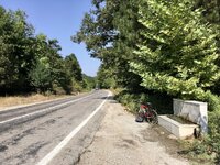 IMG_2584.jpeg
