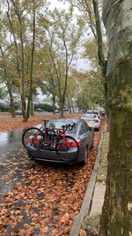 IMG_2703.jpeg