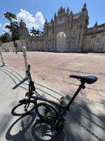 IMG_5226.jpeg