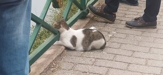 WhatsApp Image 2024-10-19 at 21.03.15 (1).jpeg