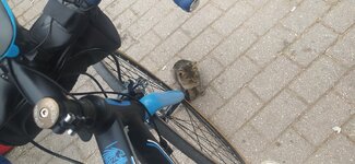 WhatsApp Image 2024-10-19 at 21.03.15.jpeg