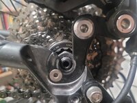 WhatsApp Image 2024-10-22 at 16.42.22.jpeg