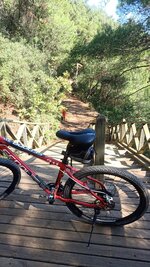 IMG-20241022-WA0016.jpeg