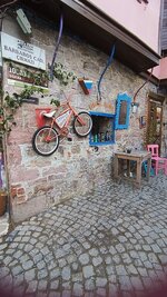 IMG_20241122_103809.jpg