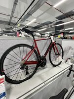 IMG_1715.jpeg