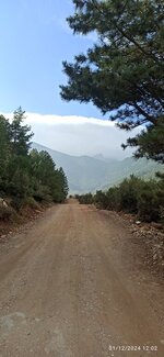 IMG_20241201_120202.jpg