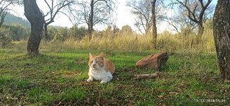 IMG_20241213_152905.jpg IMG_20241213_152905.jpg