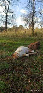 IMG_20241213_152845.jpg IMG_20241213_152845.jpg