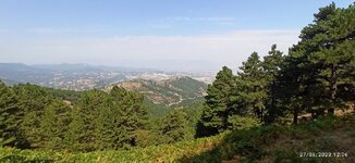 IMG_20230827_120629.jpg
