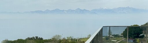 IMG_6560.jpeg