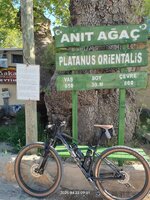 IMG20250422090107.jpg