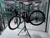 IMG_6938.jpeg