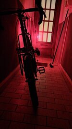 20250515_045454.jpg